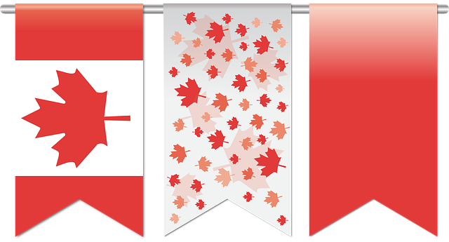 Flag Canada Canadian Banner  - 905513 / Pixabay